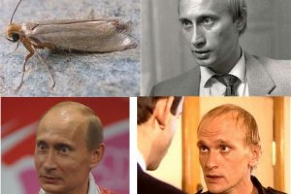 Проверенные способы официальный сайт