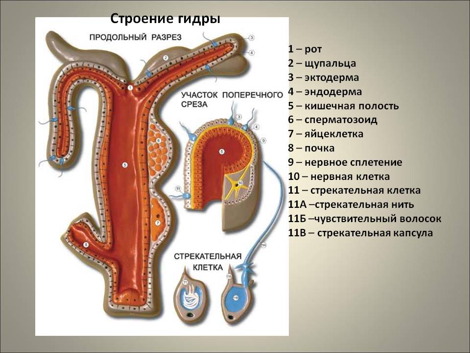 Эффективные методы на кракен актуальные